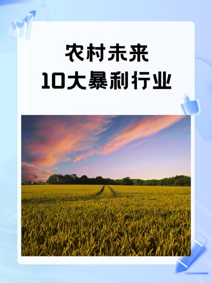 2020暴利行业
