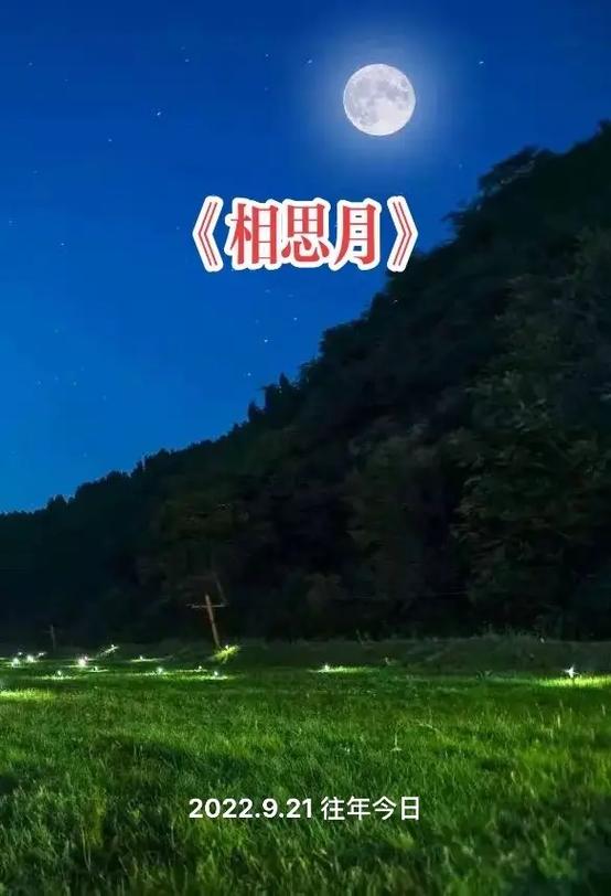 相思歌曲原唱视频缩略图