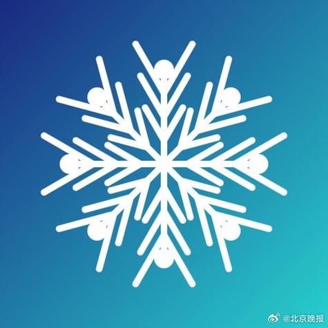 大雪小雪中雪图标