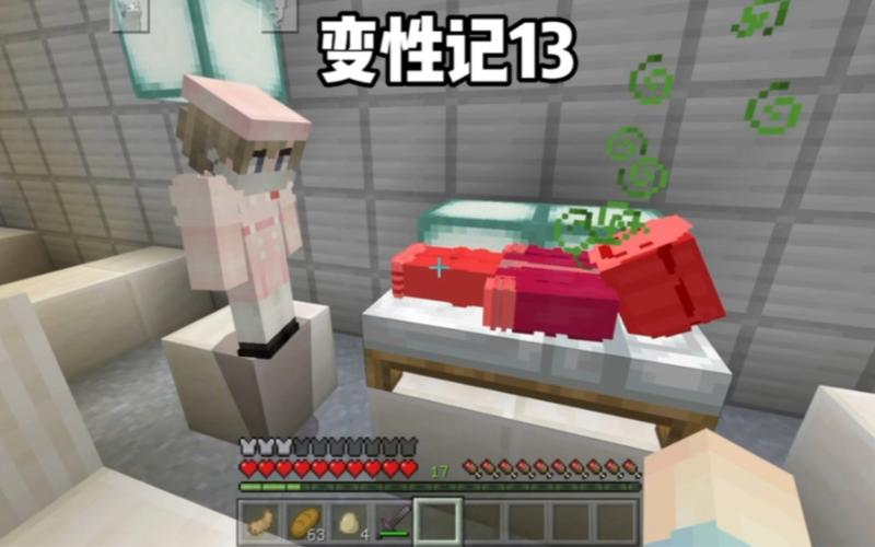 我的世界烧鸡变性手术