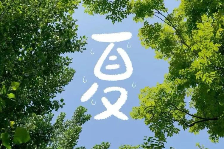 顾知夏最后和谁在一起了