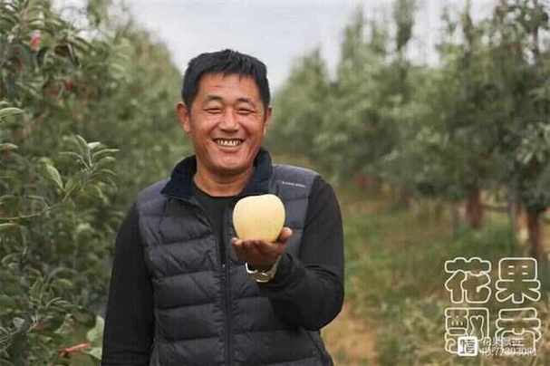 50亩果园投资要多少钱