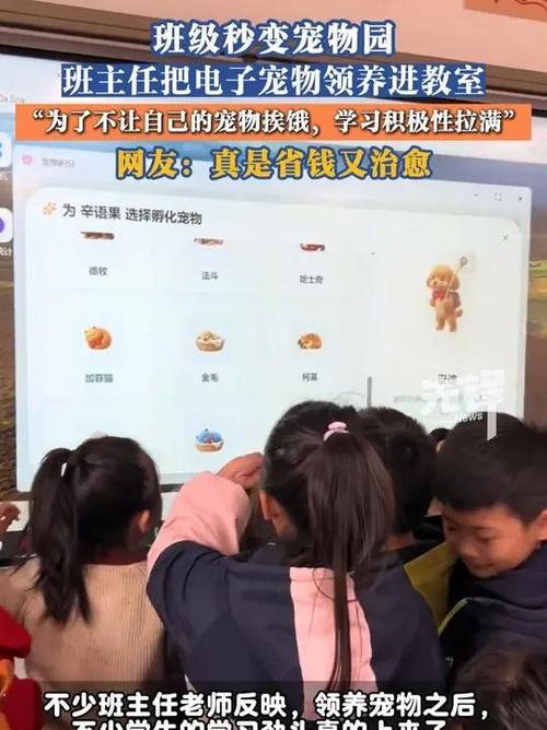 班级宠物