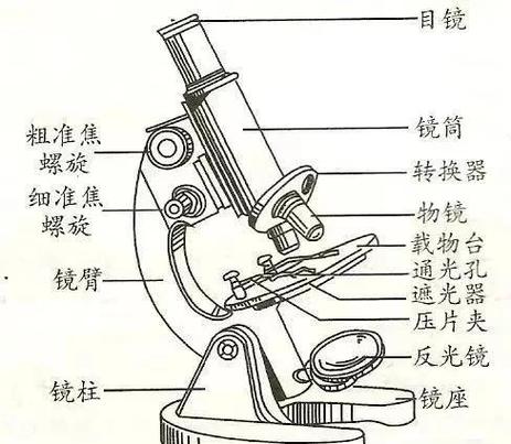 显微镜的结构图截图