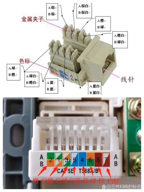 网线插座图片