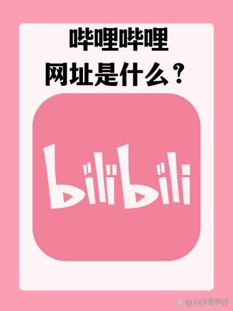 b站是指哪个网站