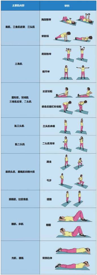 学生肌肉怎么练最快