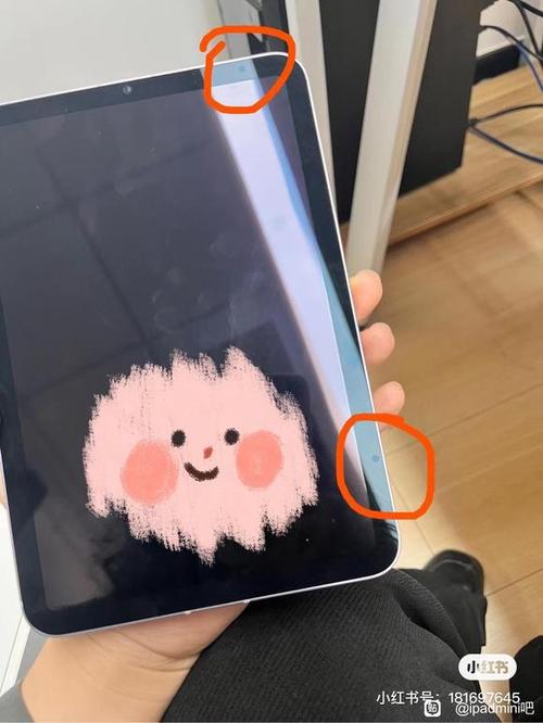 ipad有小圆圈吗
