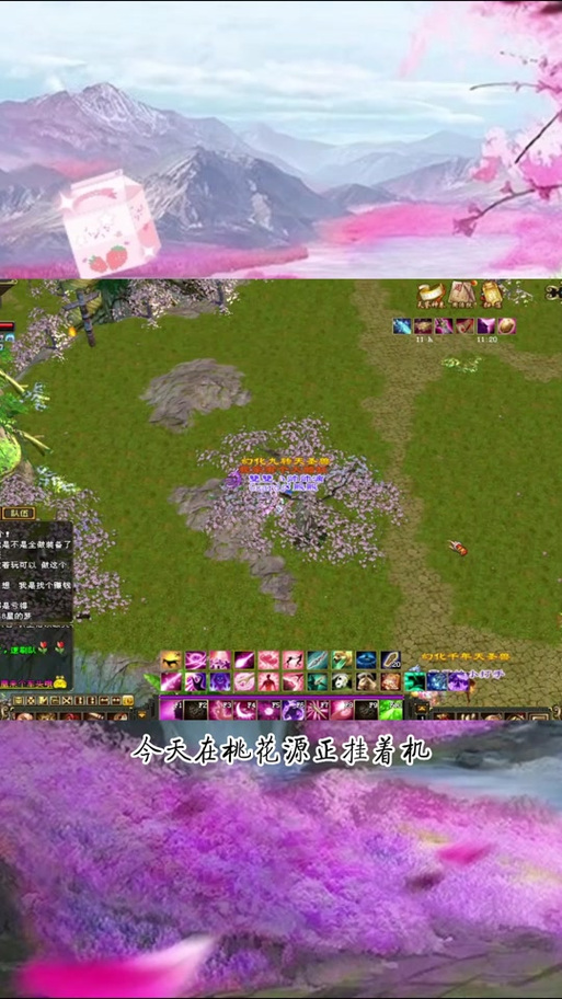 天龙八部桃花源爆什么