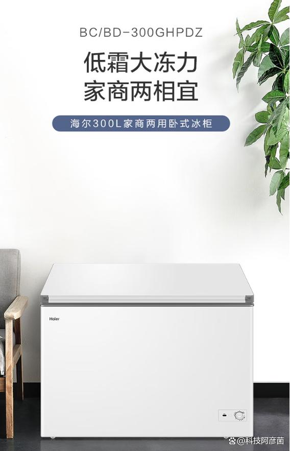 冰柜容量一般多大