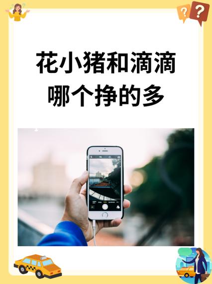 花小猪赚钱