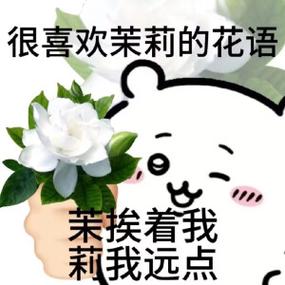 花的表情包缩略图