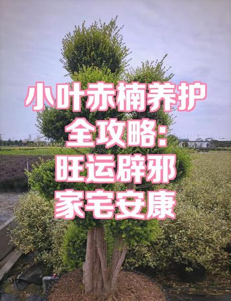 隔壁老人过世要辟邪吗截图