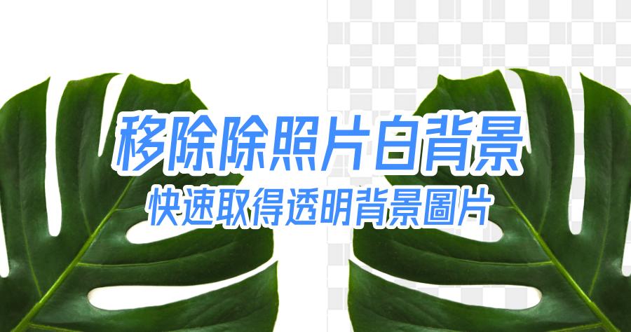 word文字背景灰色怎么去掉