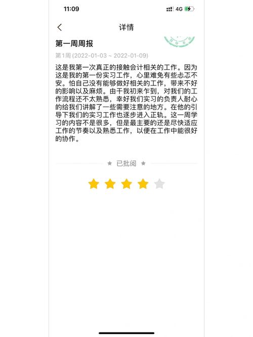 蘑菇钉每天的日报范文