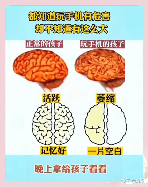 短视频刷多了对大脑的影响
