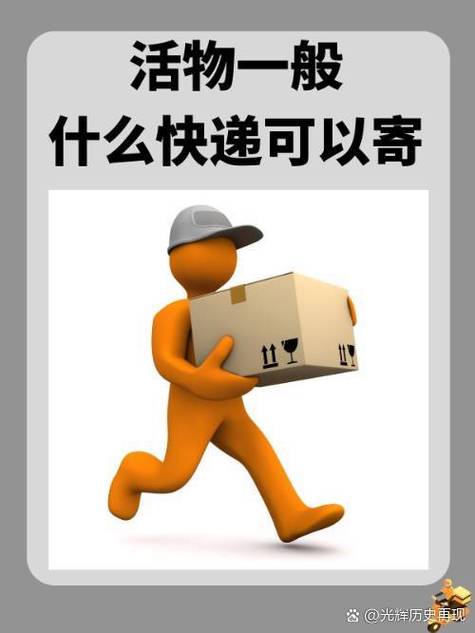 邮活物用什么快递