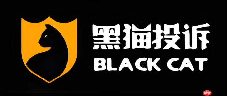 黑猫网站是什么网站