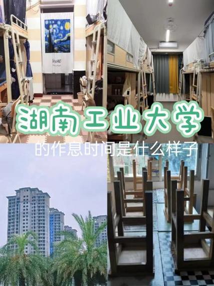 湖南工业大学学生管理系统