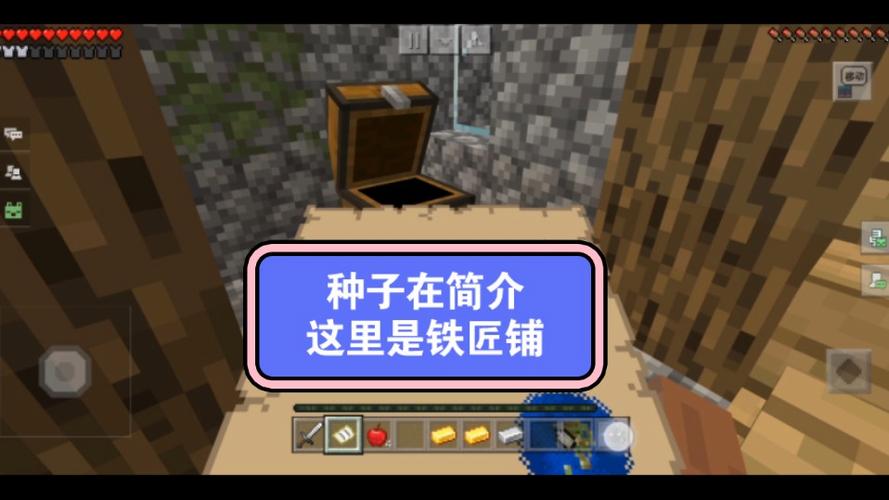 我的世界史上最好的种子