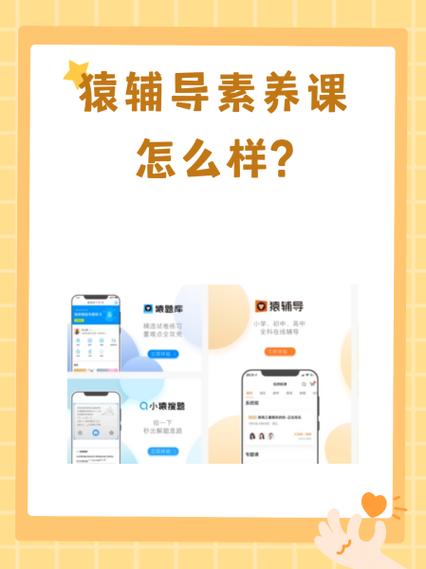 高一到高三的全套网课