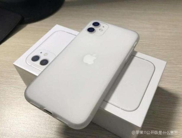 苹果11公开版和官方版有什么区别图标