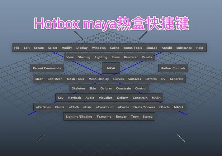 modify的用法