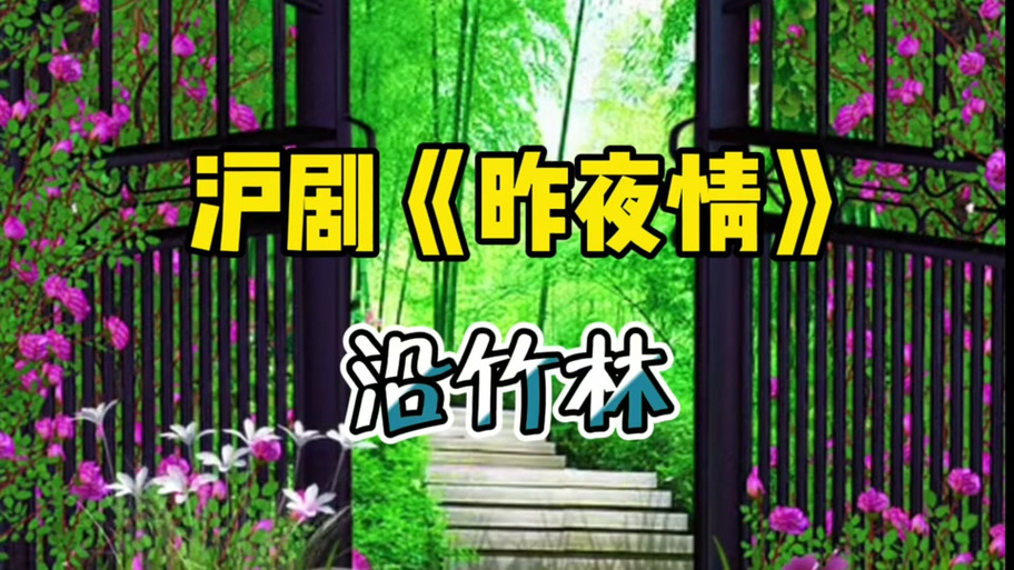 沪剧昨夜情电视剧全集游戏截图