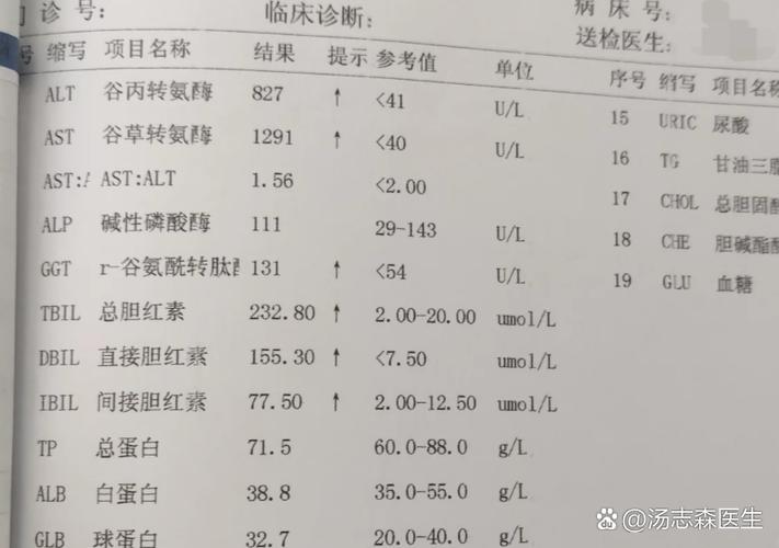谷氨酰转肽酶高说明什么