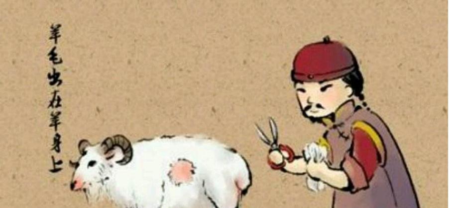 羊毛出在羊身上是骂人吗
