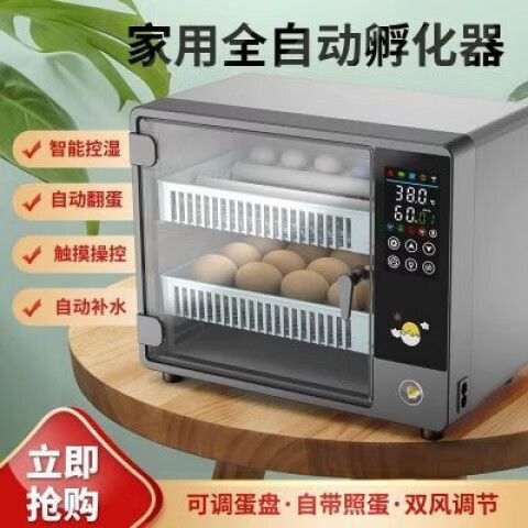小型电子孵小鸡产品