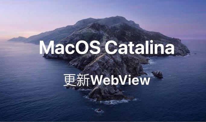 如何更新webview