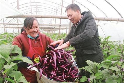 杭州红茄科技有限公司
