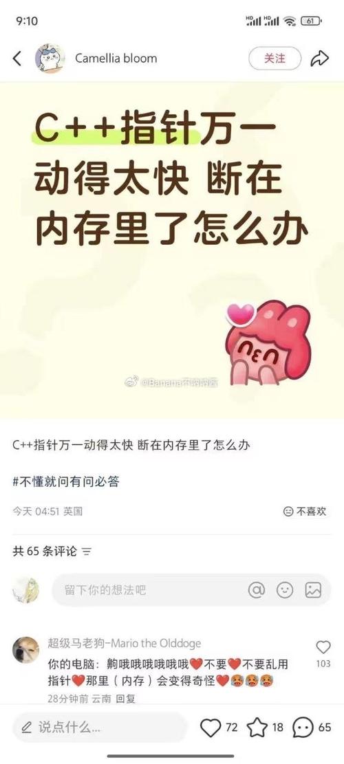 内存覆盖填满