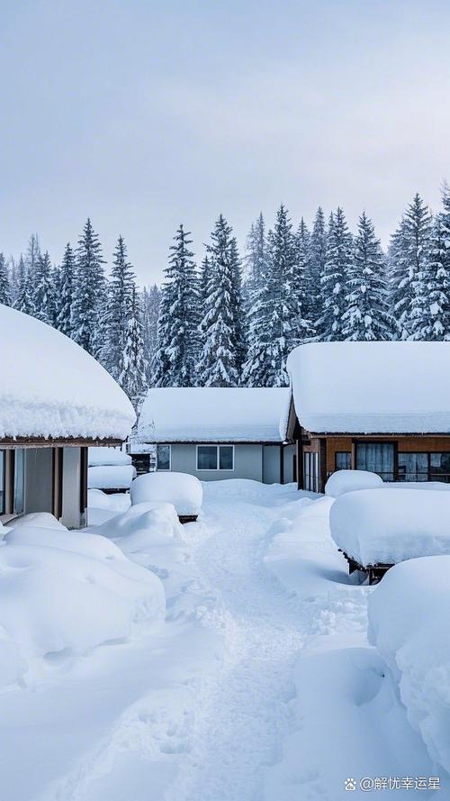 雨林和雪地图像设置