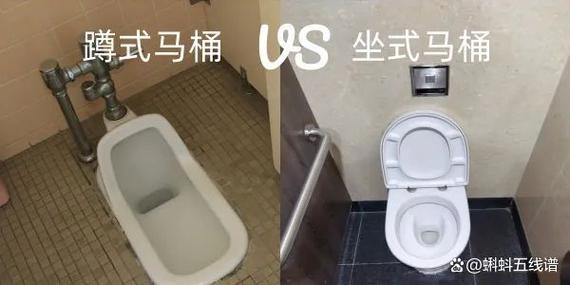 蹲厕还是坐厕容易拉屎