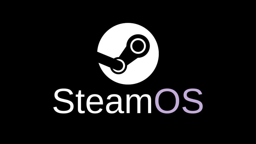 steam os