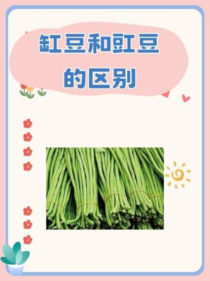 豇豆的副作用