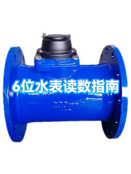 水表品牌前十名