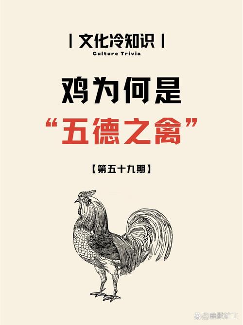 佛说养鸡报应截图