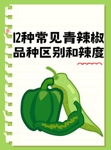 青椒与菜椒的区别