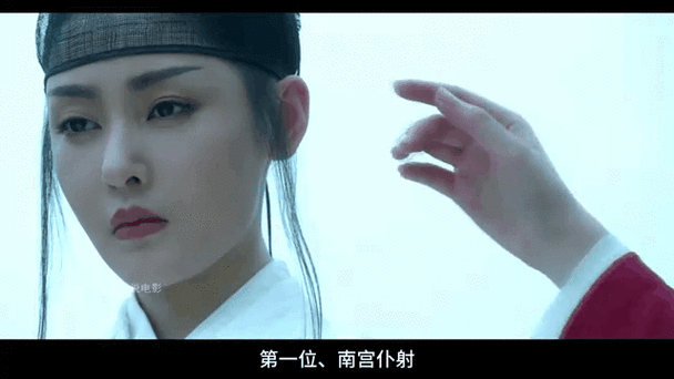 雪中胭脂榜十大美人