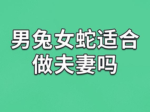 属兔和属蛇的婚配好不好