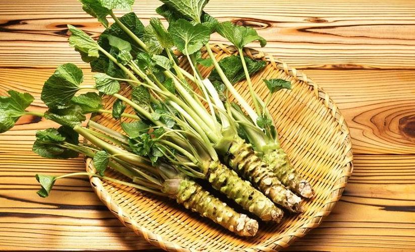 芥末图片植物图片
