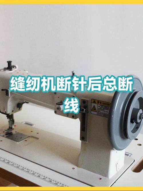 缝纫机换针后断线游戏截图