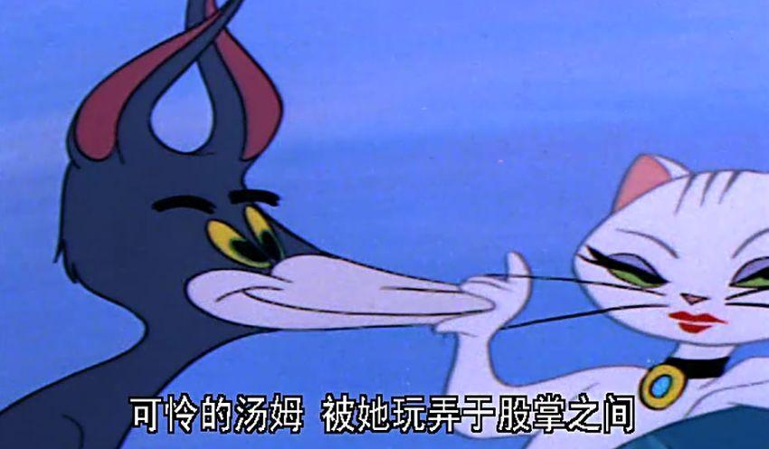 tom猫白猫的表情