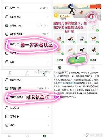 旅行世界分红犬是不是假的