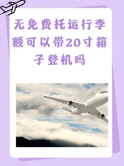 无免费托运额能带多少行李