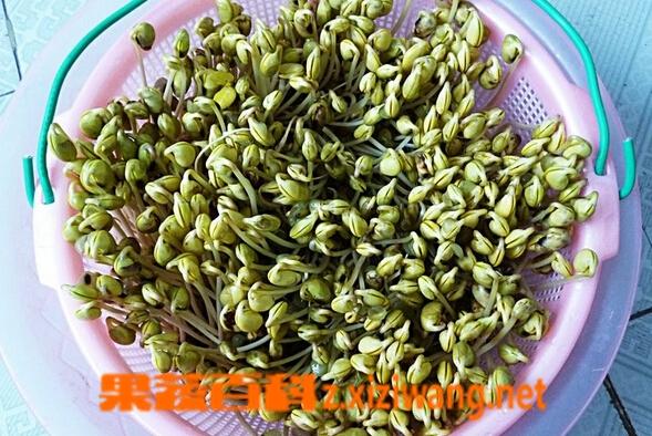 我中了一个豆发了一个牙截图