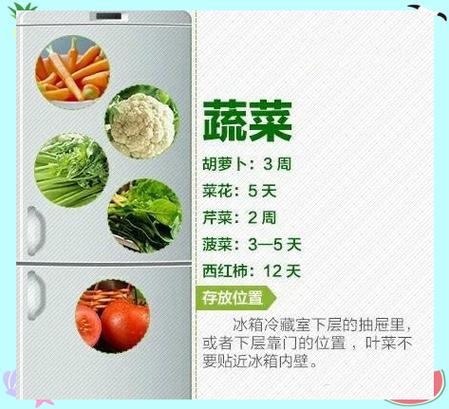 储存豆子最好的容器